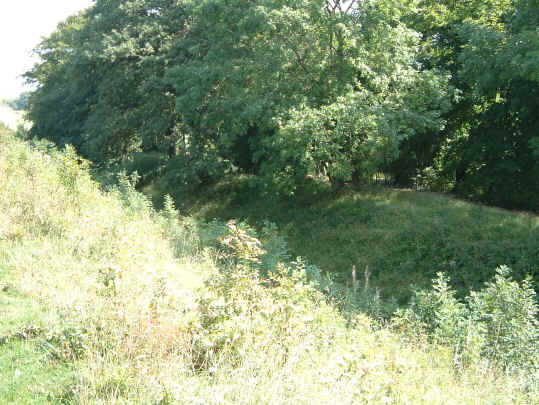 dscf0002.jpg (388729 bytes)